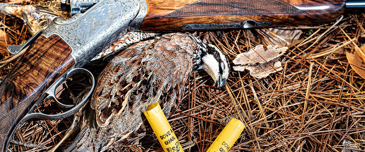 Dead quail next to Dove B&P shotshell and a shotgun
