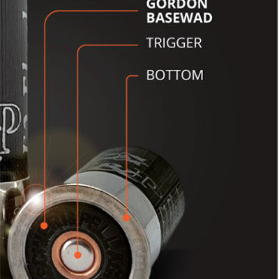 What Is The Gordon System Basewad And Why It Matters