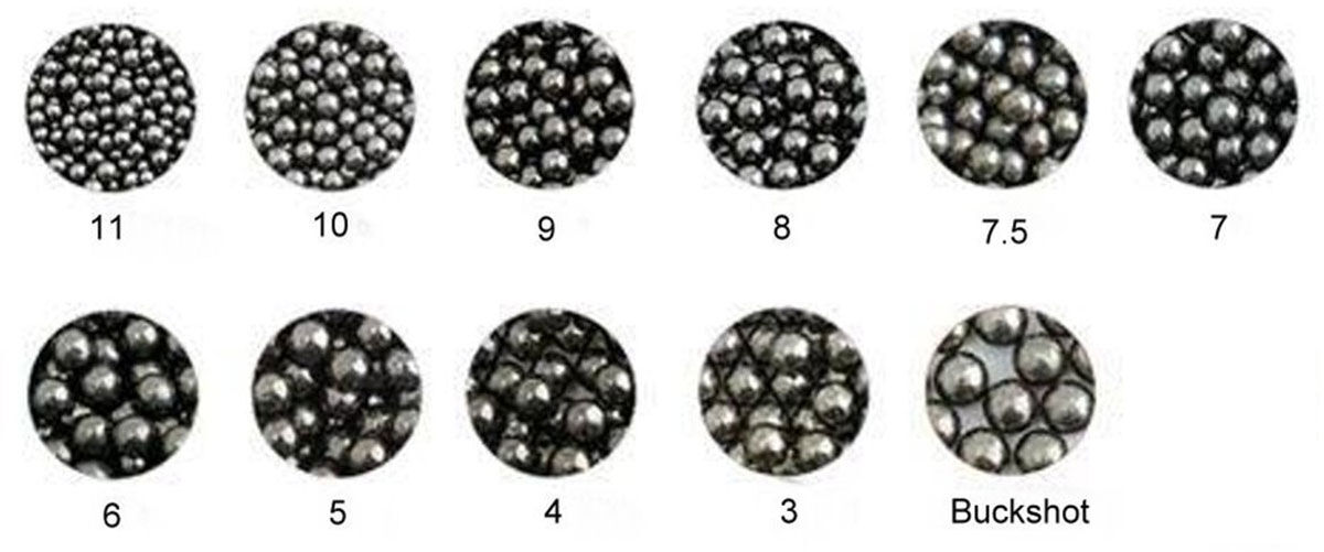 different shot sizes