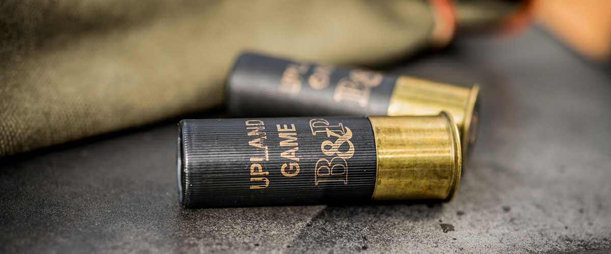 two Upland Game shotshells