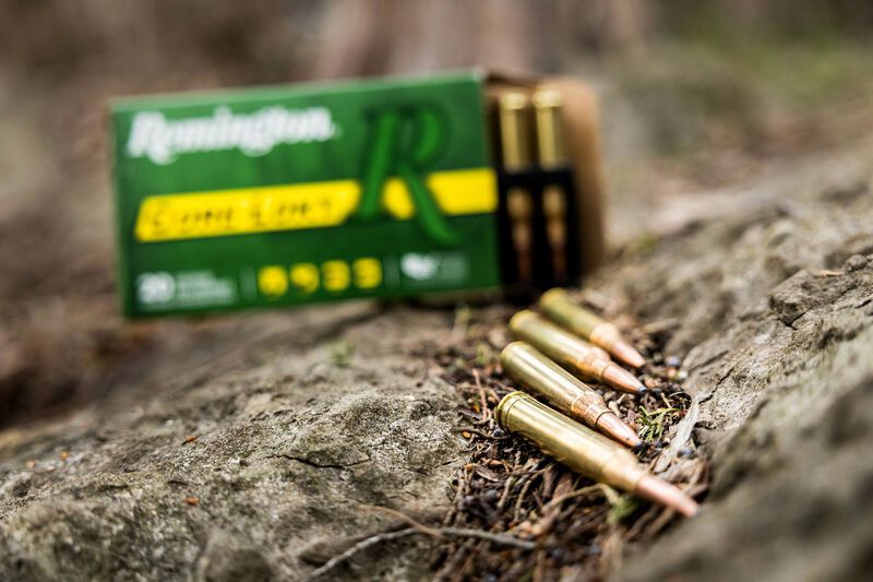 Core-Lokt, 450 Bushmaster, 260 Grain, Pointed Soft Point Core Lokt, 2040 fps