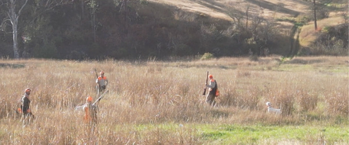 hunters walking in tall grass