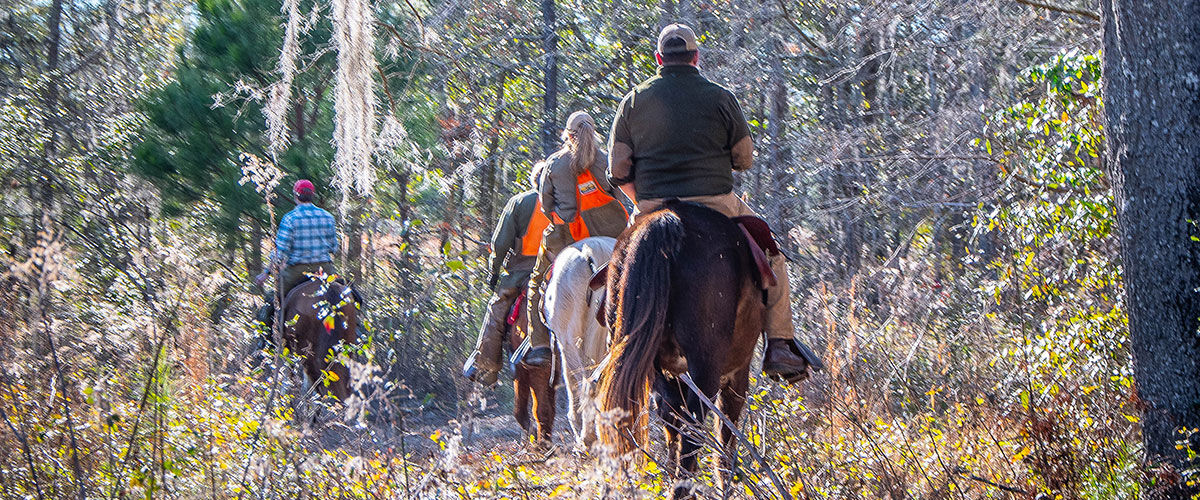 hunters on horseback in a wooded area
