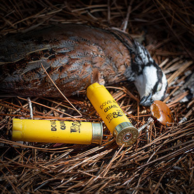 Best Quail Loads and Hunting Tips for More Birds in the Bag  