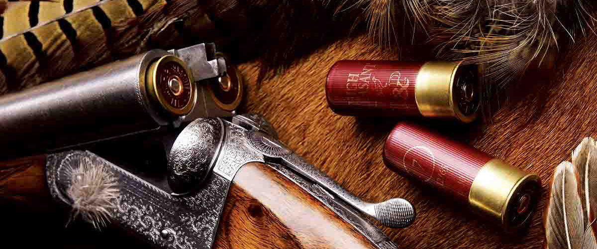 B&P shotshells next to a shotgun and pheasant tail feathers