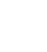 pheasnt icon