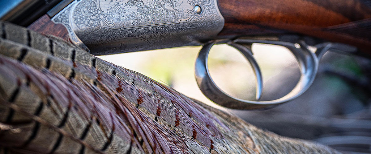 pheasant tail feathers and a shotgun