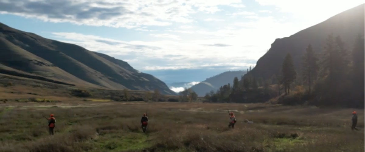 hunters walking in a line in grass