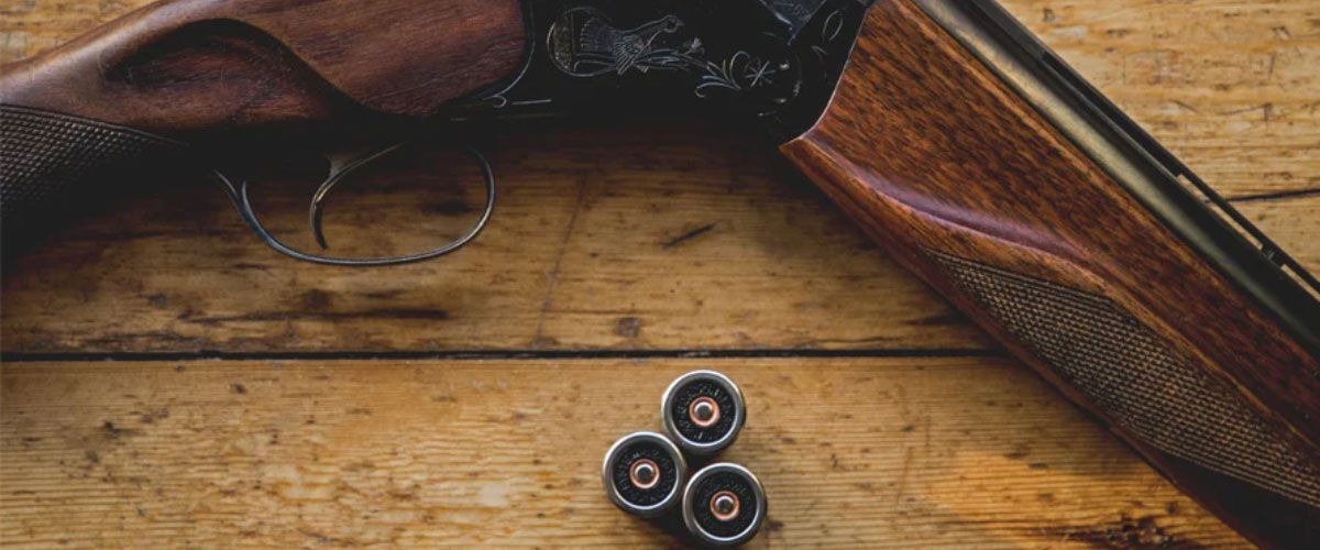 shotgun and shotshells